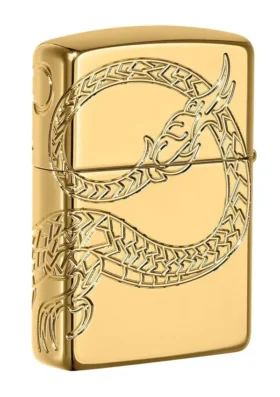 Dragon asiatique