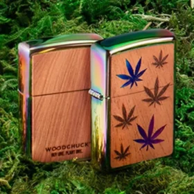 Emblème Woodchuck USA « Feuilles multicolores »