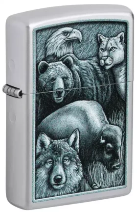 Motif « Animal Kingdom »
