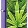 Motif « Cannabis »