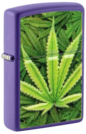 Motif « Cannabis »