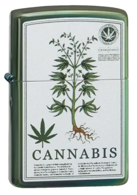 Motif cannabis vert hautement poli