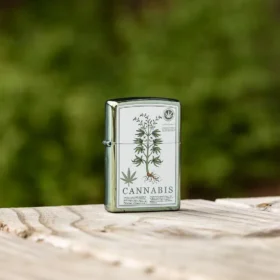 Motif cannabis vert hautement poli