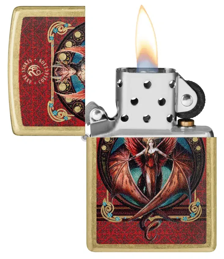Motif « Copperwing » d’Anne Stokes Motif « Copperwing » d’Anne Stokes