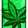 Motif de feuilles lumineuses