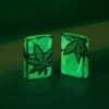 Motif de feuilles lumineuses