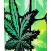 Motif de feuilles lumineuses