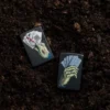 Motif « Dead Man&rsquo;s Hand »