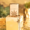 Motif feuille de cannabis