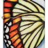 Motif papillon