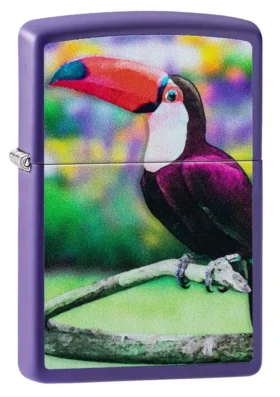 Motif toucan