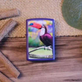 Motif toucan