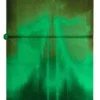Motif « Wicked City » Motif « Wicked City »