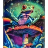 Motif « Zen Frog » Motif « Zen Frog »